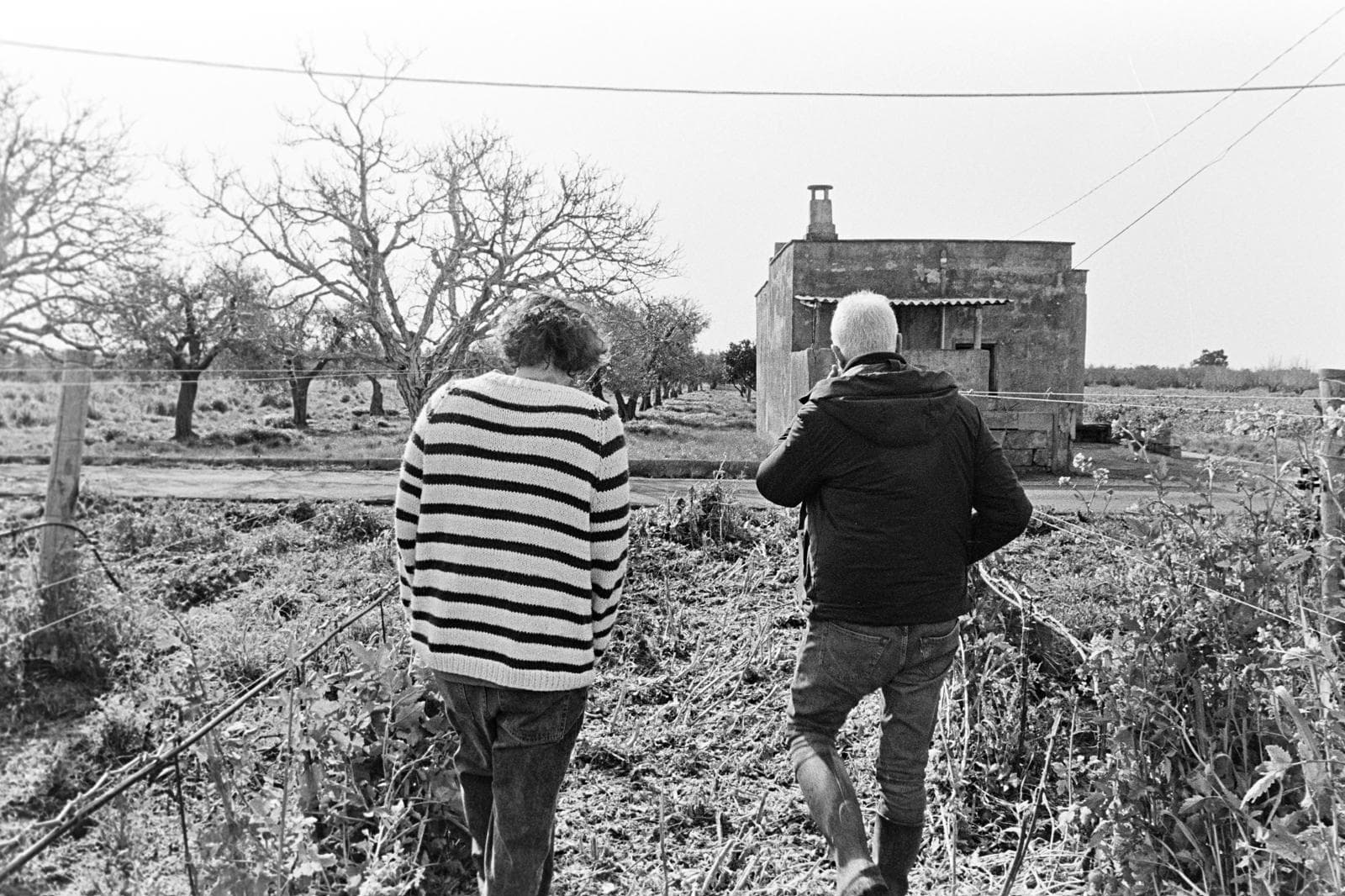 Produttori in campagna